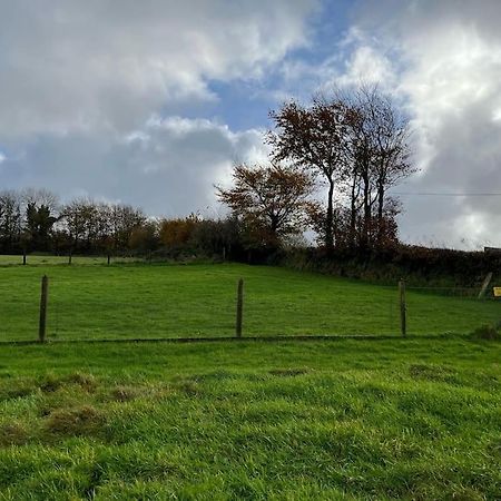 Woodland View At Hewish Mill Villa Bittadon Buitenkant foto